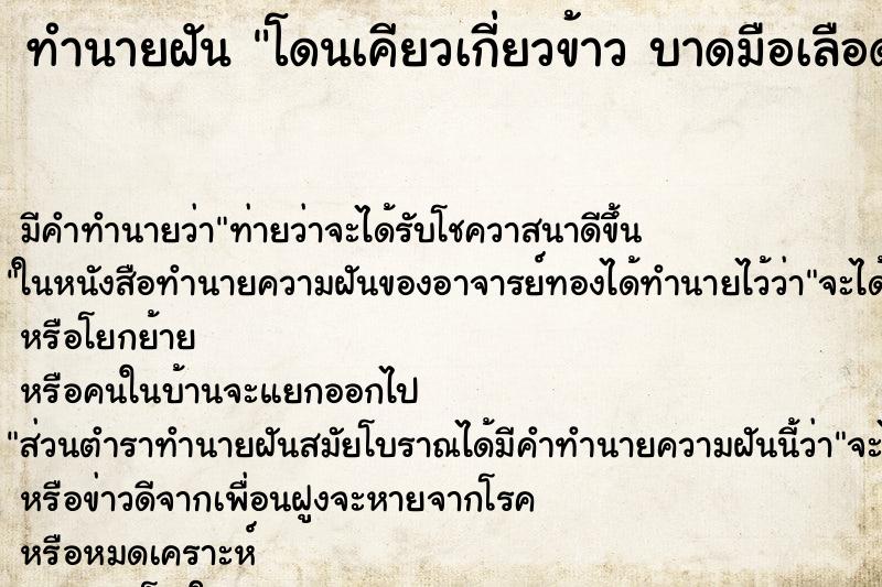 ทำนายฝัน โดนเคียวเกี่ยวข้าว บาดมือเลือดออก ทำนายฝัน โดนเคียวเกี่ยวข้าว บาดมือเลือดออก
